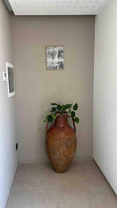 카스텔라나그로테 Matarrese 1950 B&B 외부 사진